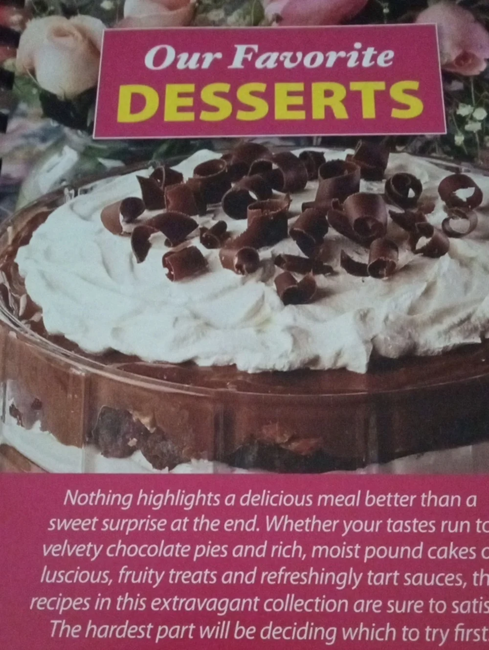 COOKBOOK: Family Living Our Best Cookbook Collection 28 Recipes